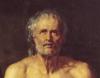 Seneca Seneca